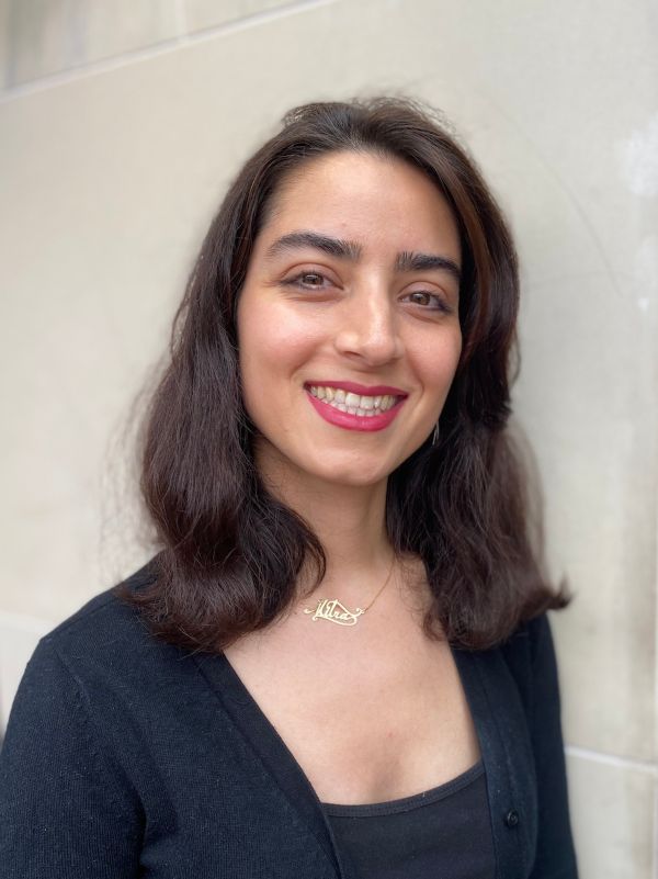 Mitra Darestani